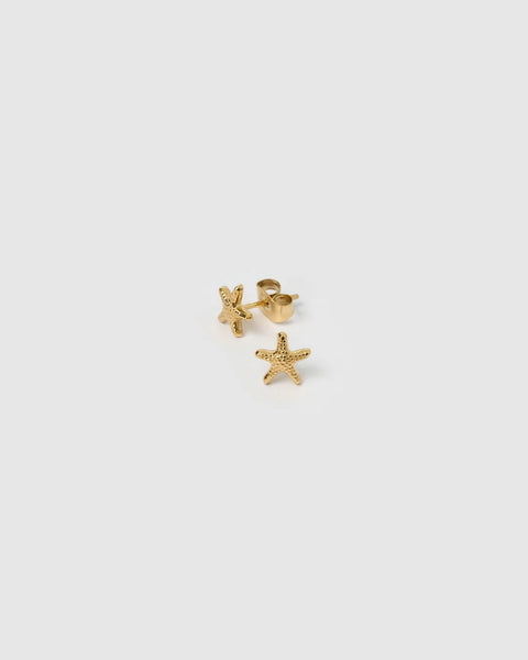 Starfish Studs 14K GOLD PLATED