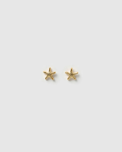 Starfish Studs 14K GOLD PLATED