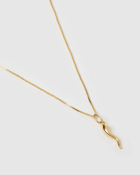 Cornicello Gold Charm Necklace - Large