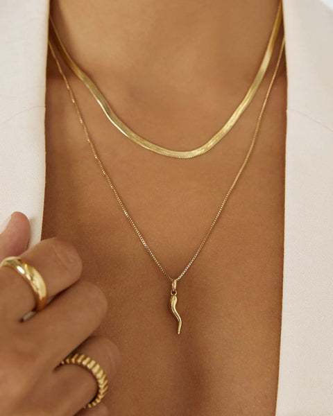 Cornicello Gold Charm Necklace - Large