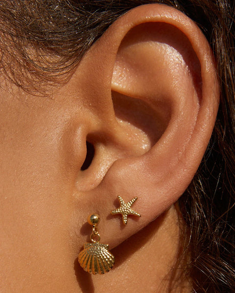 Starfish Studs 14K GOLD PLATED