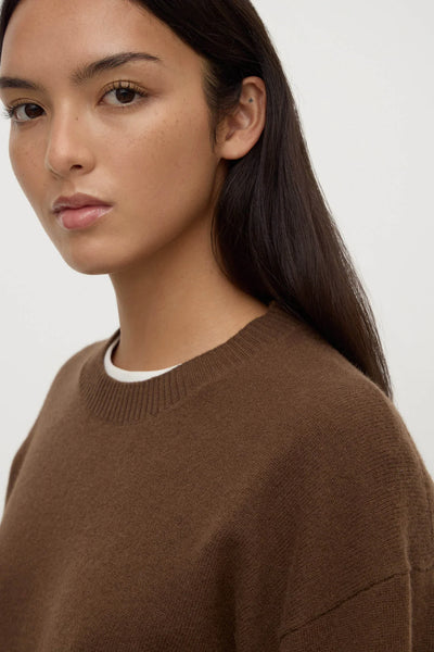 Carter Brushed Wool Sweater EARTH