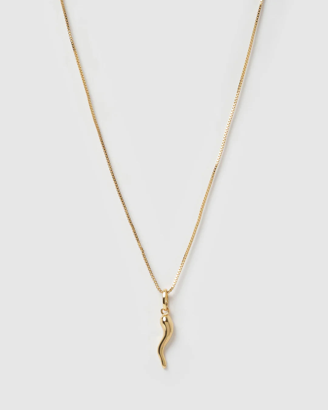 Cornicello Gold Charm Necklace - Large