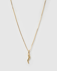Cornicello Gold Charm Necklace - Large