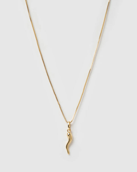 Cornicello Gold Charm Necklace - Large