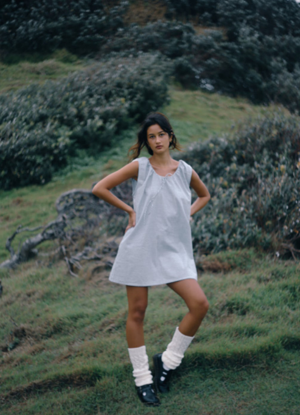 Luna Shift Dress SPIRULINA STRIPE