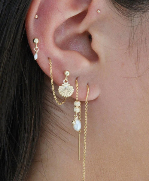 Tiny Shell Earrings 14K GOLD FILLED