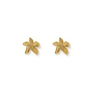 Lily Gold Earrings 14K GOLD PLATED